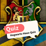 Hogwarts-Haus-Quiz: Welcher Charakter gehört zu welchem Haus?